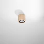SOL-Plafond BASIC 1 természetes fa